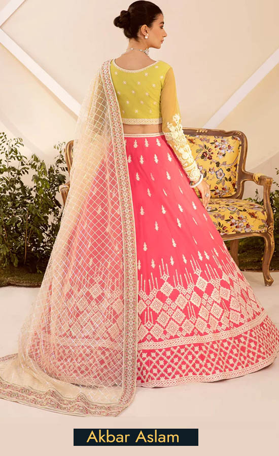 Akbar Aslam Embroidered Net MEYER Dress (1)