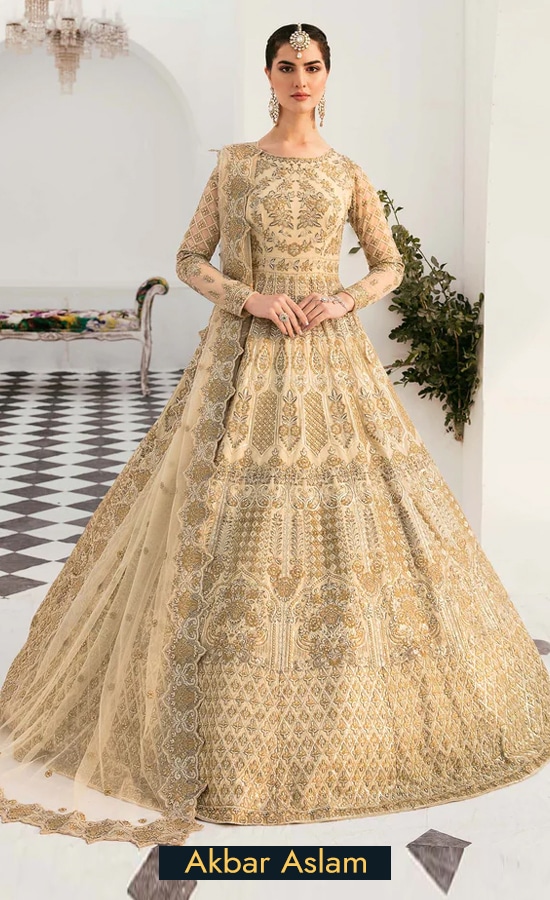Akbar Aslam Embroidered Net Silveen Dress (3)