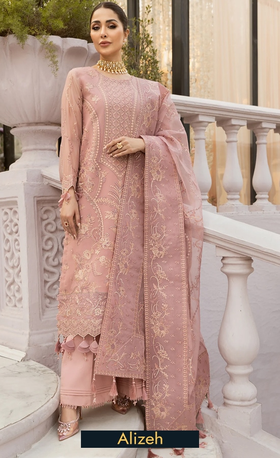 Alizeh Embroidered Chiffon V01D02 Dress (1)