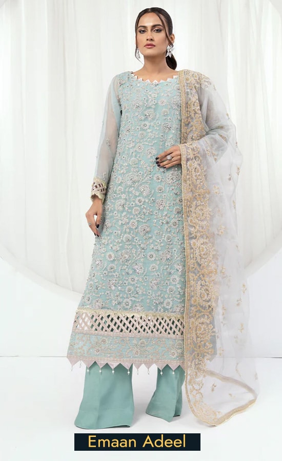 Emaan Adeel Embroidered Organza AL03 Dress (1)