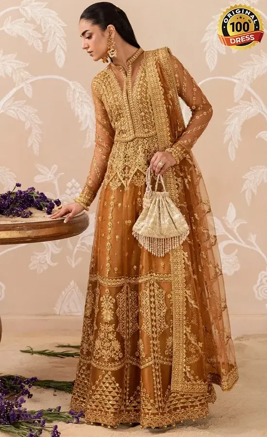 Brown Anarkali Suit For Wedding Guests (3) Brown Anarkali Suit For Wedding Guests (3)