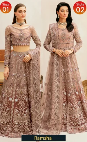 Embroidered Organza - HA-401