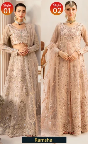 Embroidered Organza - HB-403