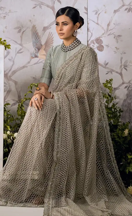 Gray Color Saree For Wedding Guests