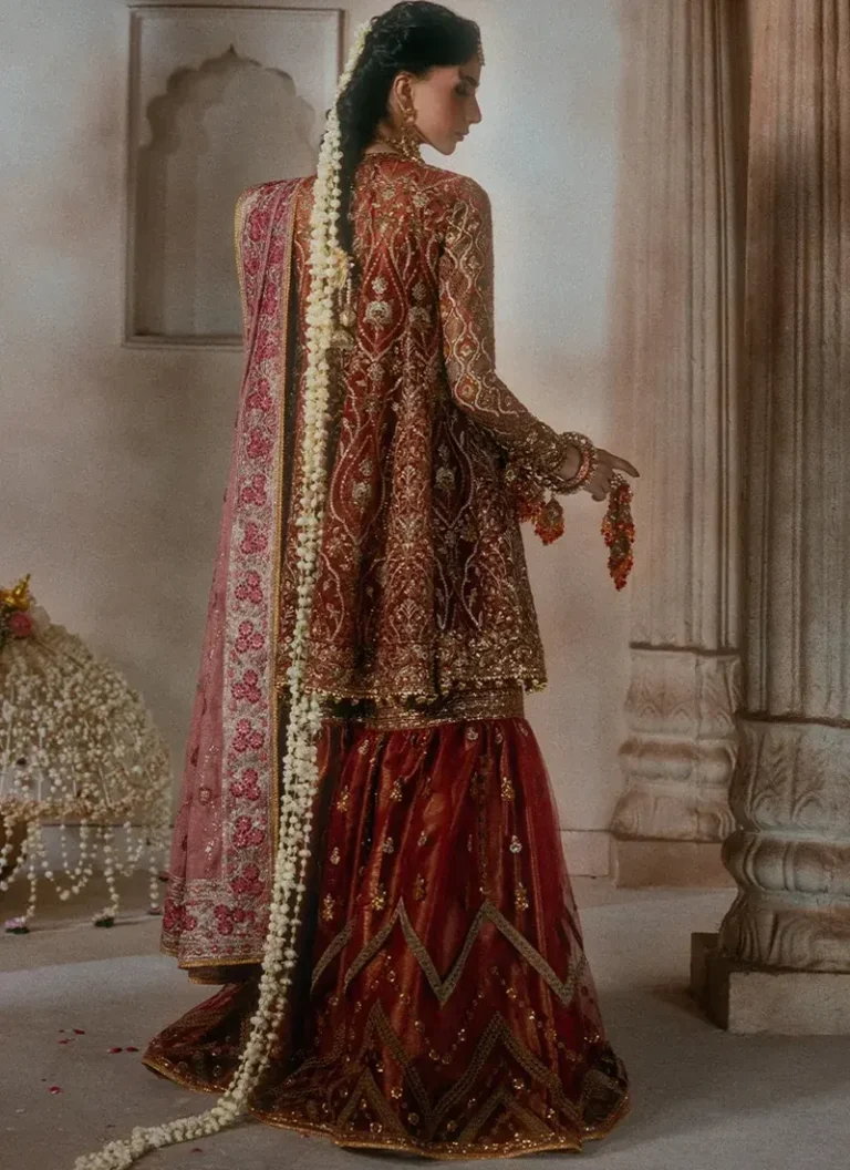 Pakistani Diwali wedding guest dress with hand embroidered organza sleeves, detailed neckline finishing and embellished front border