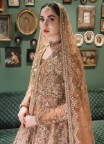 Apricot Colour Bridal Gown Video