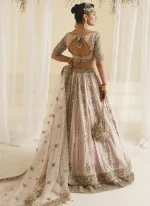 Soft Pink Nikkah Lehenga Video