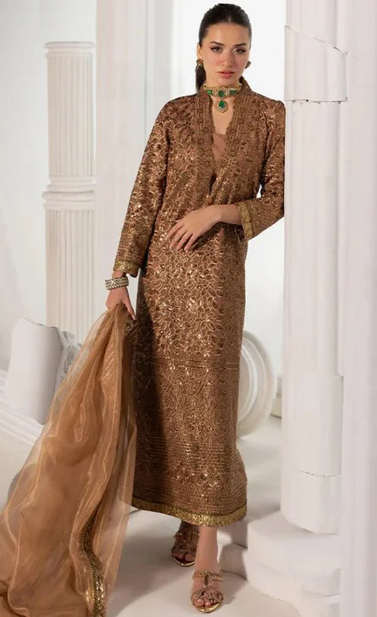 Embroidered Chiffon - AJIZL11 (2) Embroidered Chiffon - AJIZL11 (2)