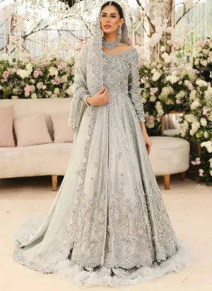 Silver Pakistani Wedding Gown (2)