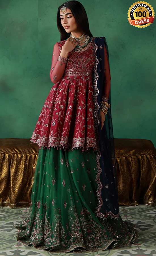 Embroidered Net AJULN-08 Dress (3) Embroidered Net AJULN-08 Dress (3)