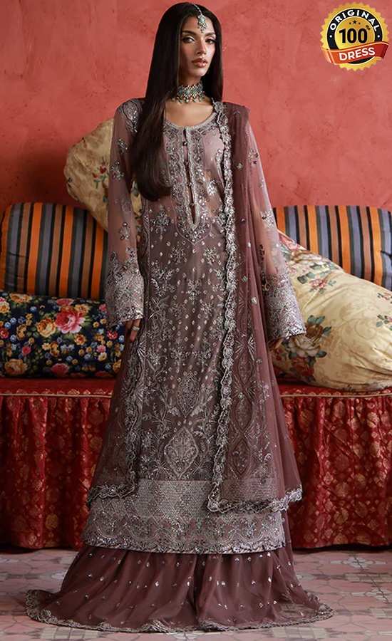 Embroidered Net AJULN-14 Dress (1) Embroidered Net AJULN-14 Dress (1)