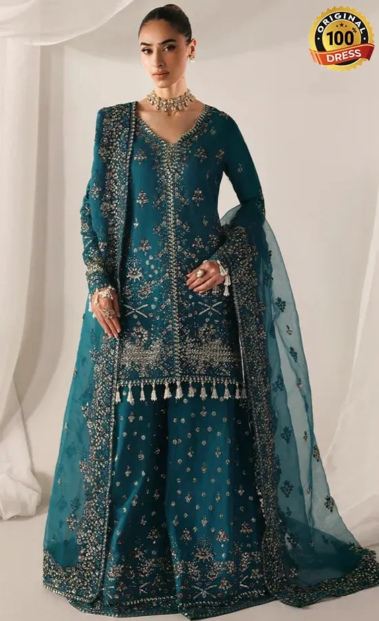 Embroidered Raw Silk Moonlit Night Dress (2) Embroidered Raw Silk Moonlit Night Dress (2)