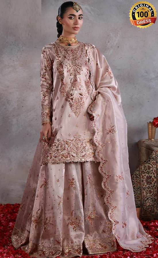 Embroidered Zari Tissue Net AJULN-15 Dress (3) Embroidered Zari Tissue Net AJULN-15 Dress (3)