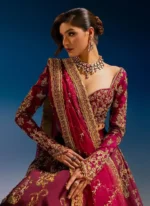 Ahmed Sultan Burgundy Lehenga Choli (Inspired Version) Video