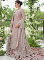 Pink Farshi Lehenga with Silver Work (Inspired Version) Video