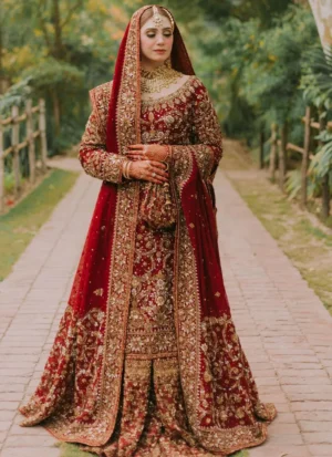 Haris Shakeel Farshi Lehenga (1)