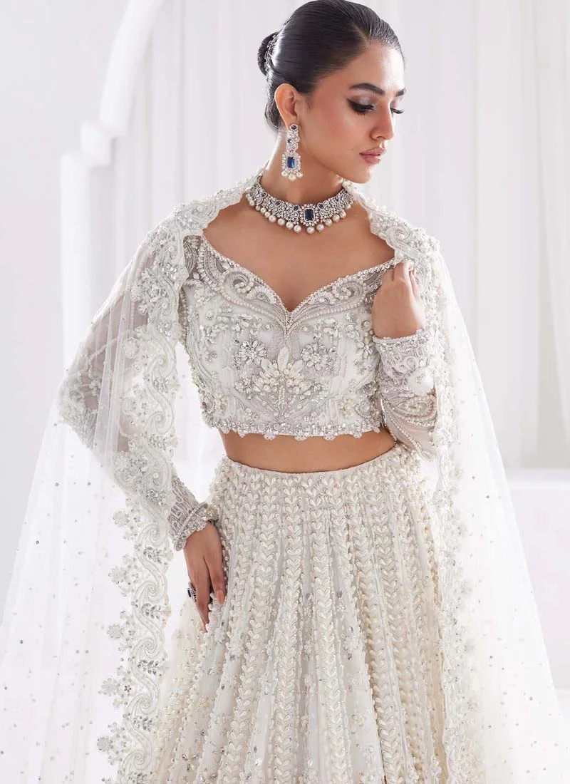 Wine-coloured bridal lehenga set with net blouse, panelled skirt and five-yard-plus organza dupatta with a worked border
