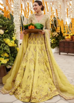 Zaha PK Mehndi Lehenga (2)