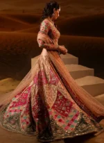 Peach Baraat Lehenga Choli with Chevron Floral Panels Video